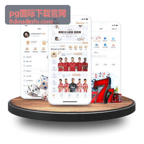 世界杯足球现场：超燃氛围深度体验